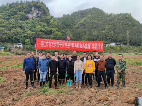 銅仁市財農(nóng)信貸融資擔保有限責任公司 開展“學黨史、迎五一”助農(nóng)實踐活動